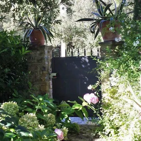 Nova By Posarellivillas *